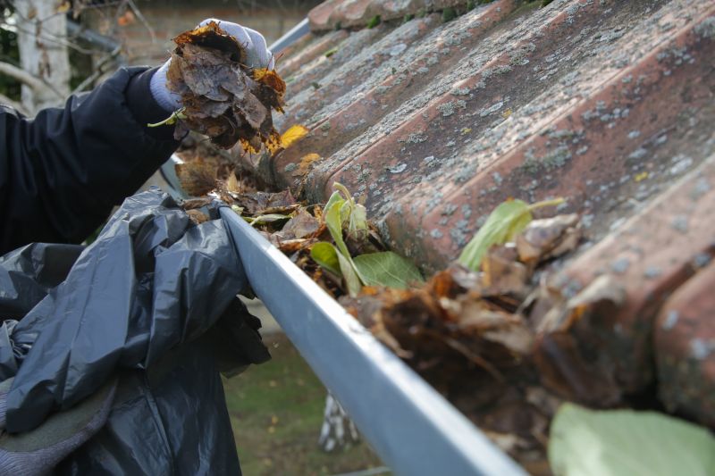 Clogged Residential Gutters
